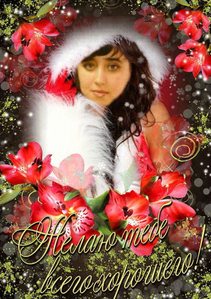 Галочка Галочка