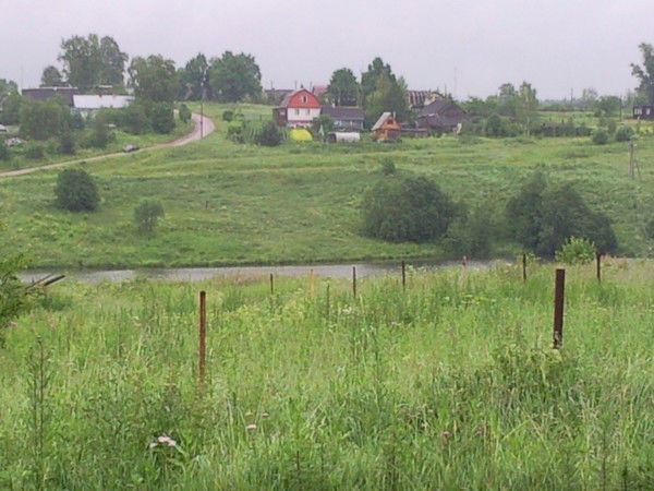 Николай Пантелеев