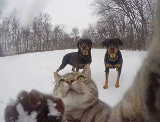 Бодун Бодунов