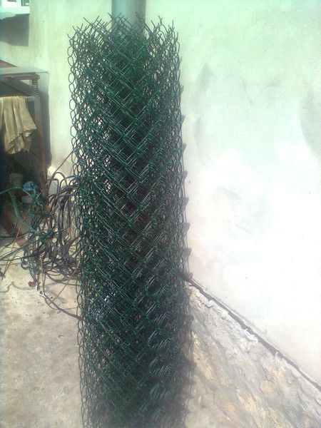 ???????????? ?????????