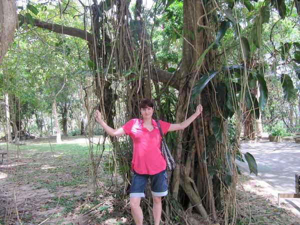 Елена Курносикова