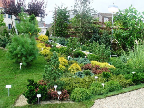 Дмитрий Бородин