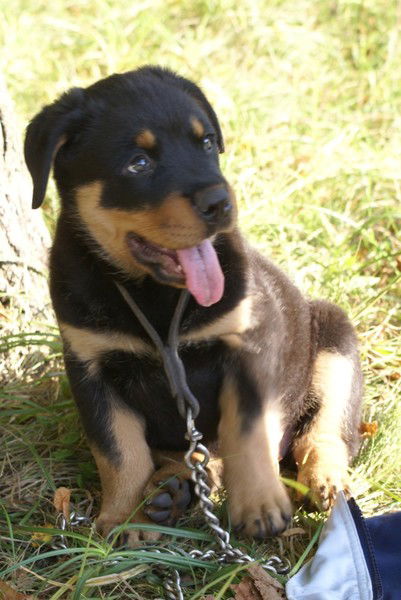 Мальчик Парень