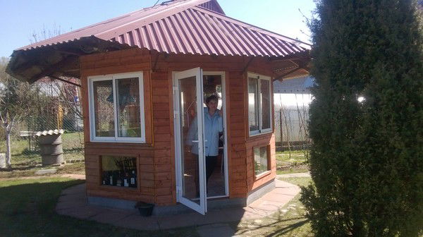 Елена Маньшавина