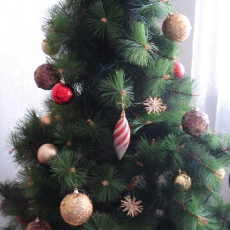 Анна Кузнецова