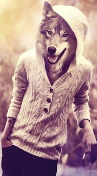 Владимир Прокофьев