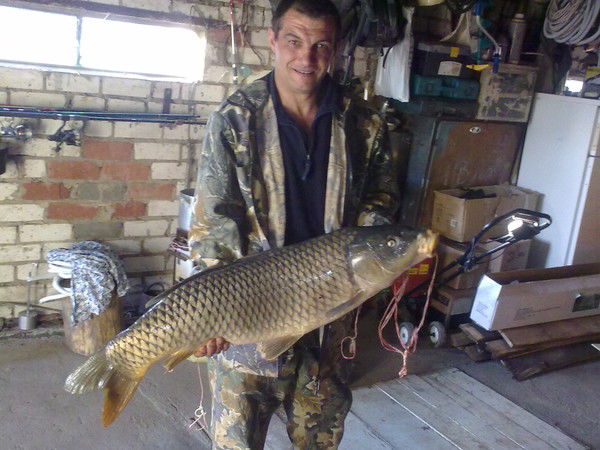 Алексей Зорин