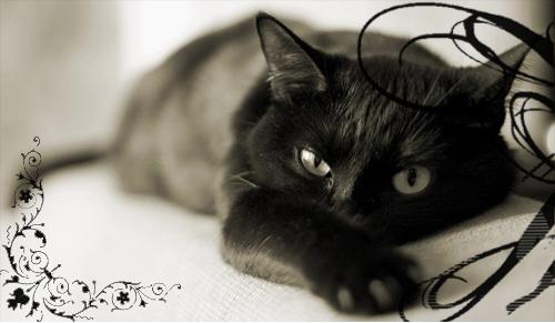 Ирина Фролова