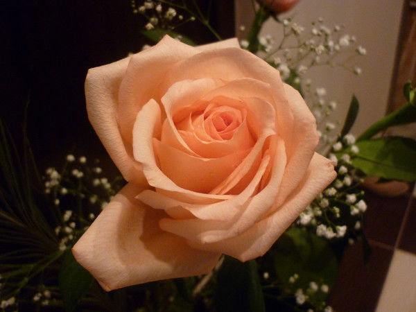 Земфира Мухамадуллина