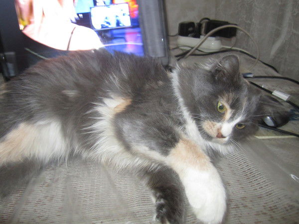 Селюкова Анастасия