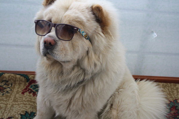 Игорь Кулеш