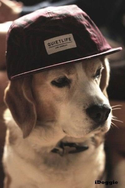 Marcela Flores Del Campo`