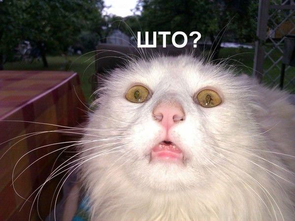 Мру № 107 Фмба