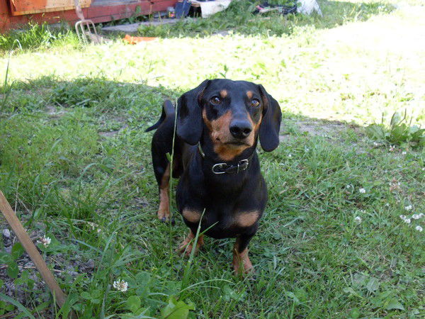 Игорь Харьков