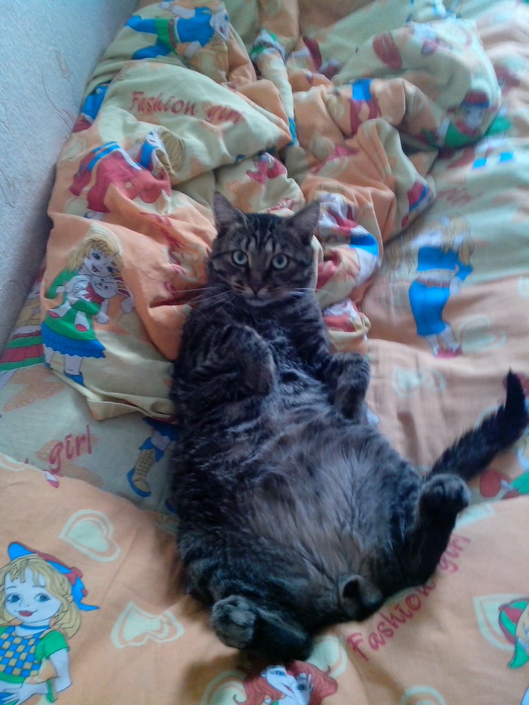 Дарья Молодцова