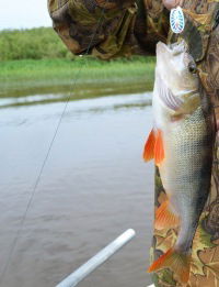 Надточей Александр