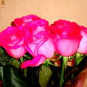 Lorena *