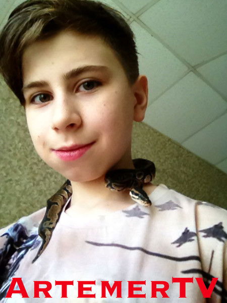 Артём Дубровский