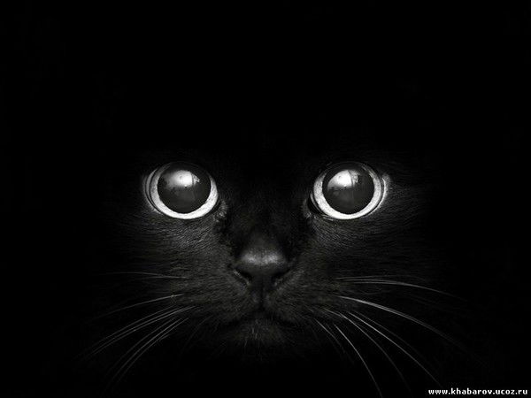 Ирина Горбулько