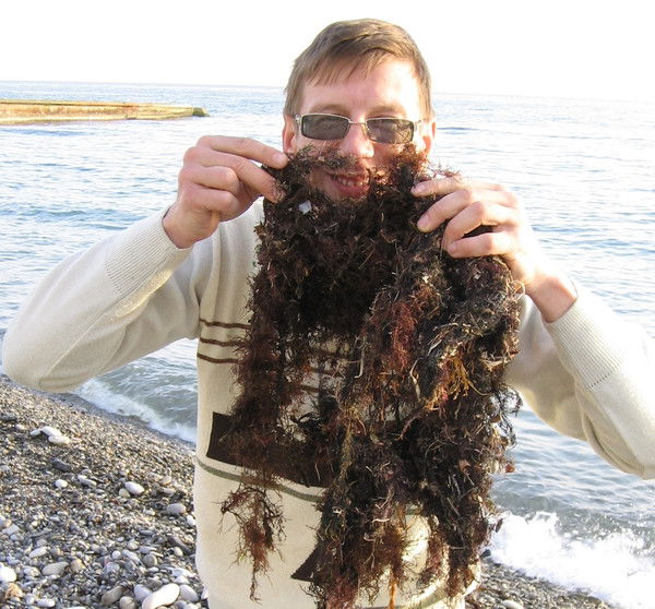 Владимир Грибко