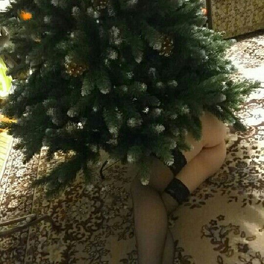 Евгений Кушнарев