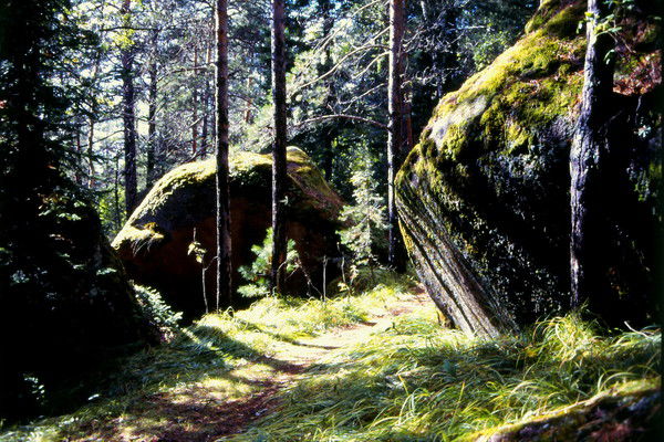 Владислав Мусс