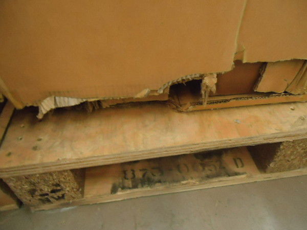 Виктор Шурыгин