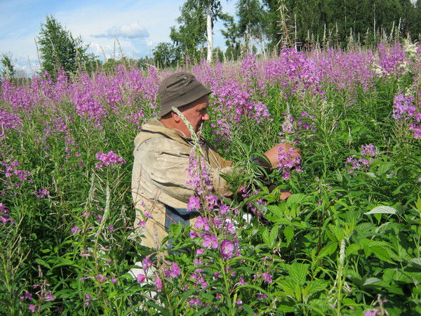 Сергей Кузьмин