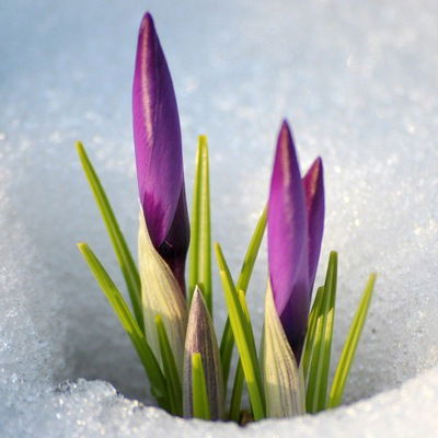 Регина-К Арысланова