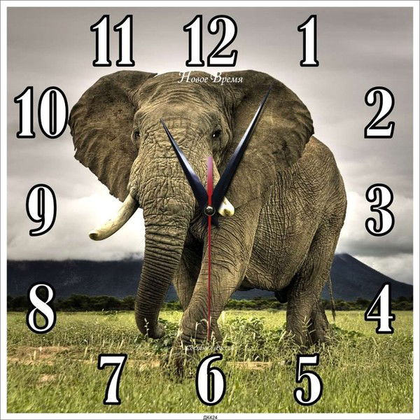 Екатерина Власова