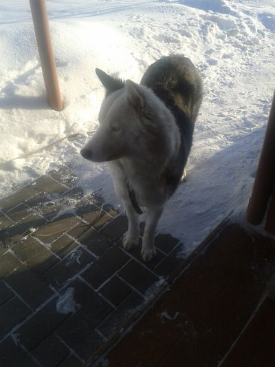 Василий Скляр