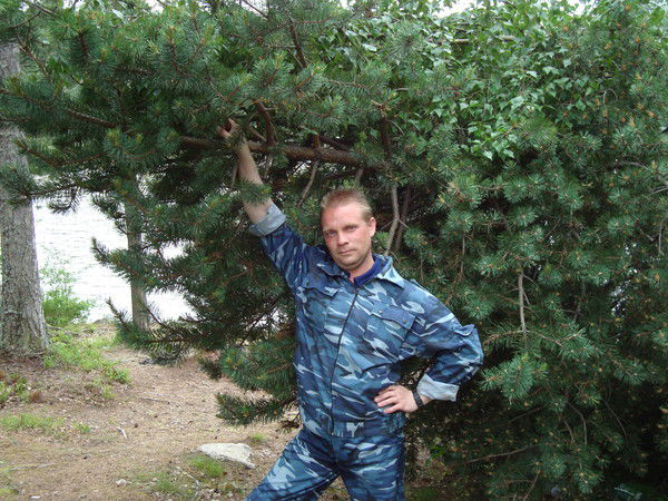 Николай Коршунов