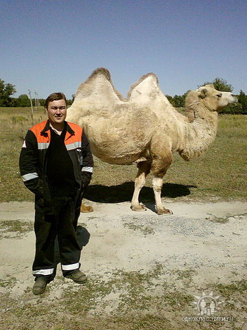 Юра Чернышков