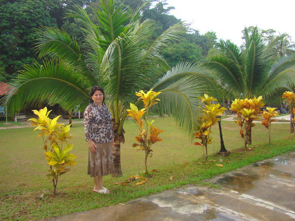 Гулшод Хужаева