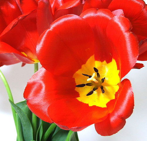 Светлана [[[[[