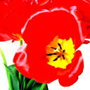 Светлана [[[[[