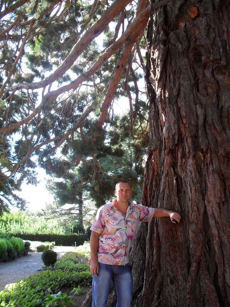 Александр Стасевич