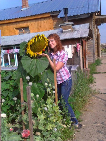 Анжелика Зубарева