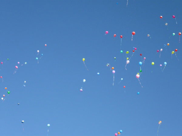 Александр Тарасов