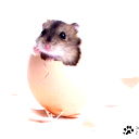 Даниил *******