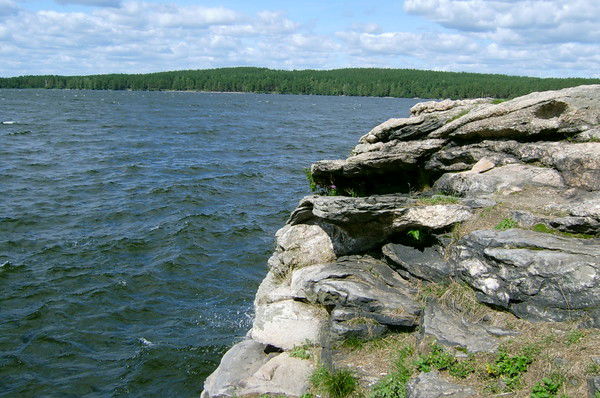 Алексей Кашин