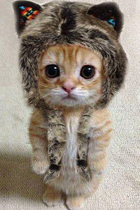 Владимир Лебедев