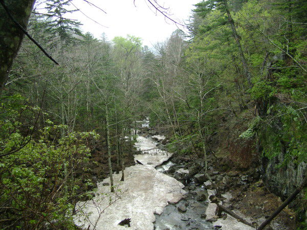 Ирина Аистова