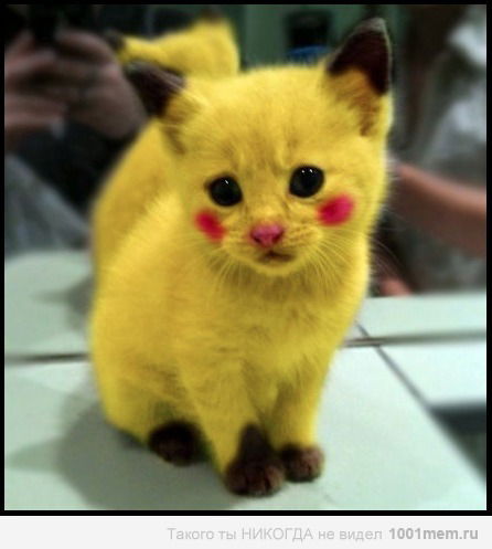 Рыжий Лисик :d