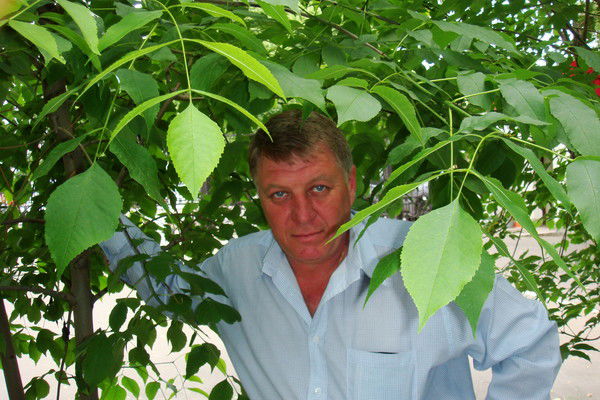 Дмитрий Антоненко