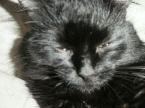 Виктория Санникова