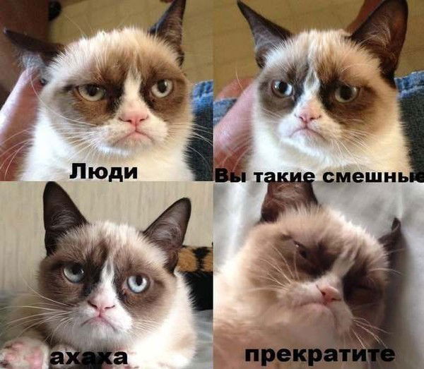 Андрюха Гаврилов