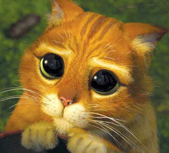 •°• Frozen Hell •°•