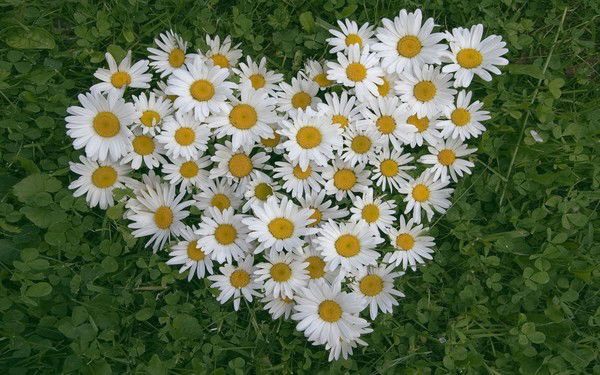 Марина Романова