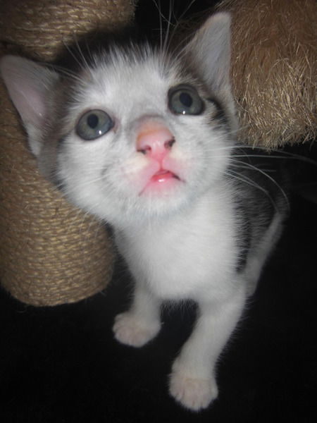 Татьяна Лифанова